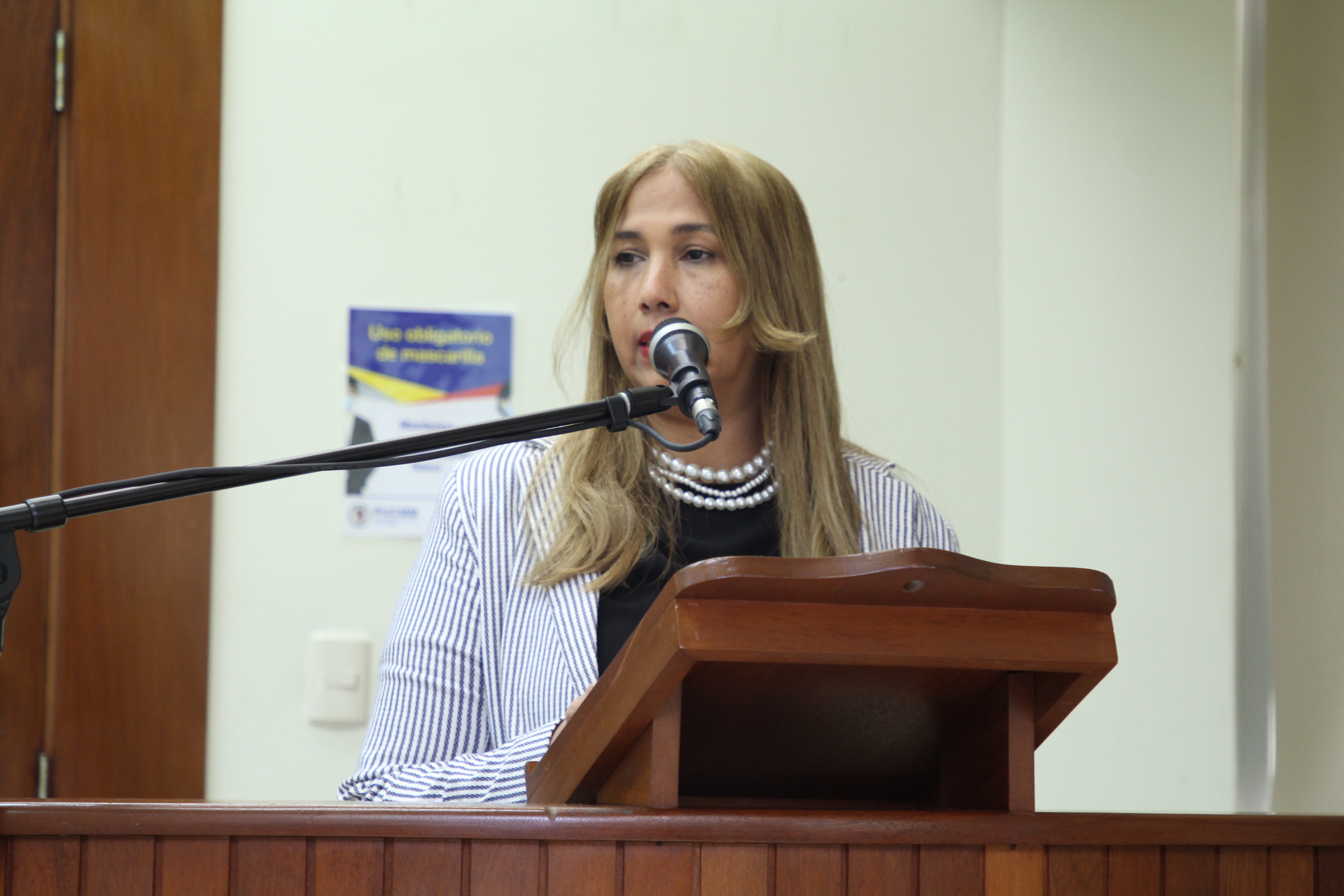 Ana Bélgica Güichardo, directora de Escuela de Comunicación de  PUCMM.JPG